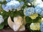 Saarbr�cken-Altenkessel: Kr�uterstube Therapien und Wellness